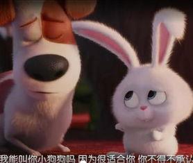 兔兔吃瓜娱乐新浪博客,新浪博客带你领略娱乐新风尚